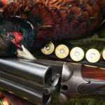 Pheasant shooting at the Annandale